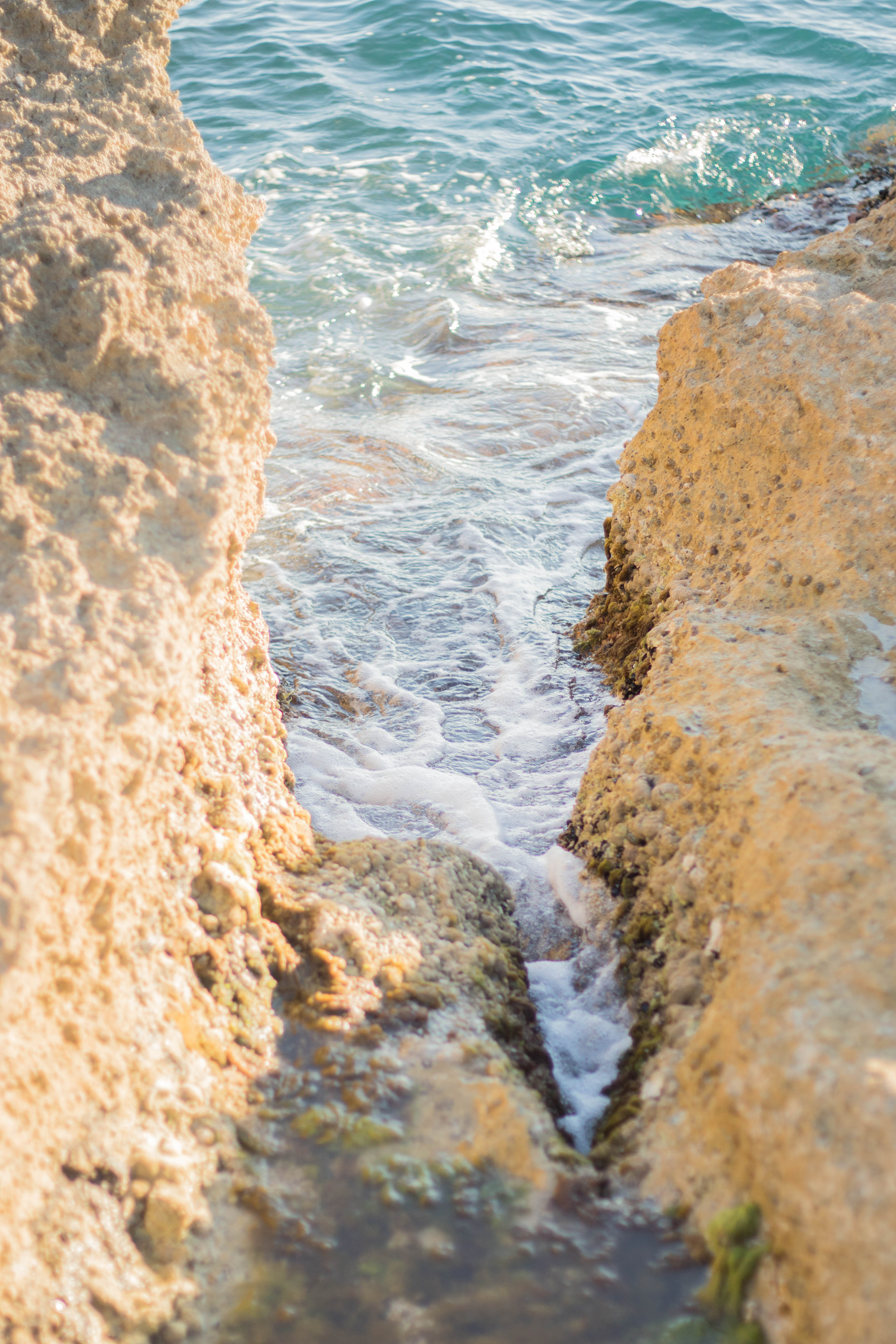 Séance day after mariage Montpellier-20
